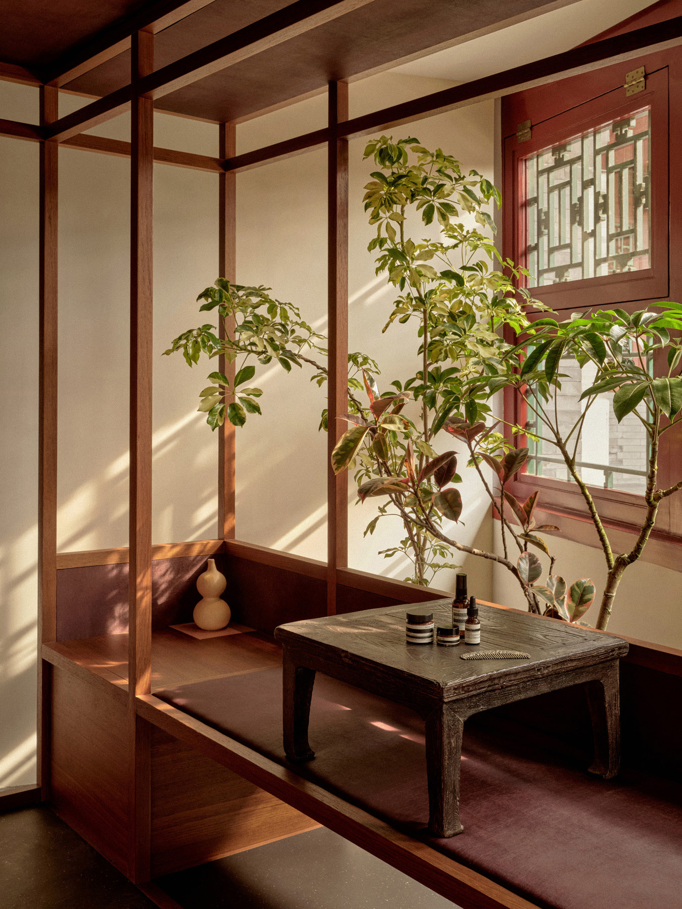 Aesop Central House 19